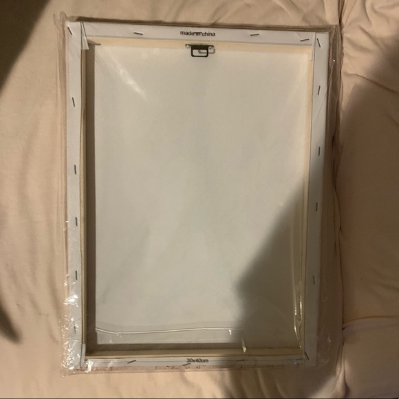 PARIS IN SPRING ROOM CANVIS WALL-ART!! - Picture 2 of 3